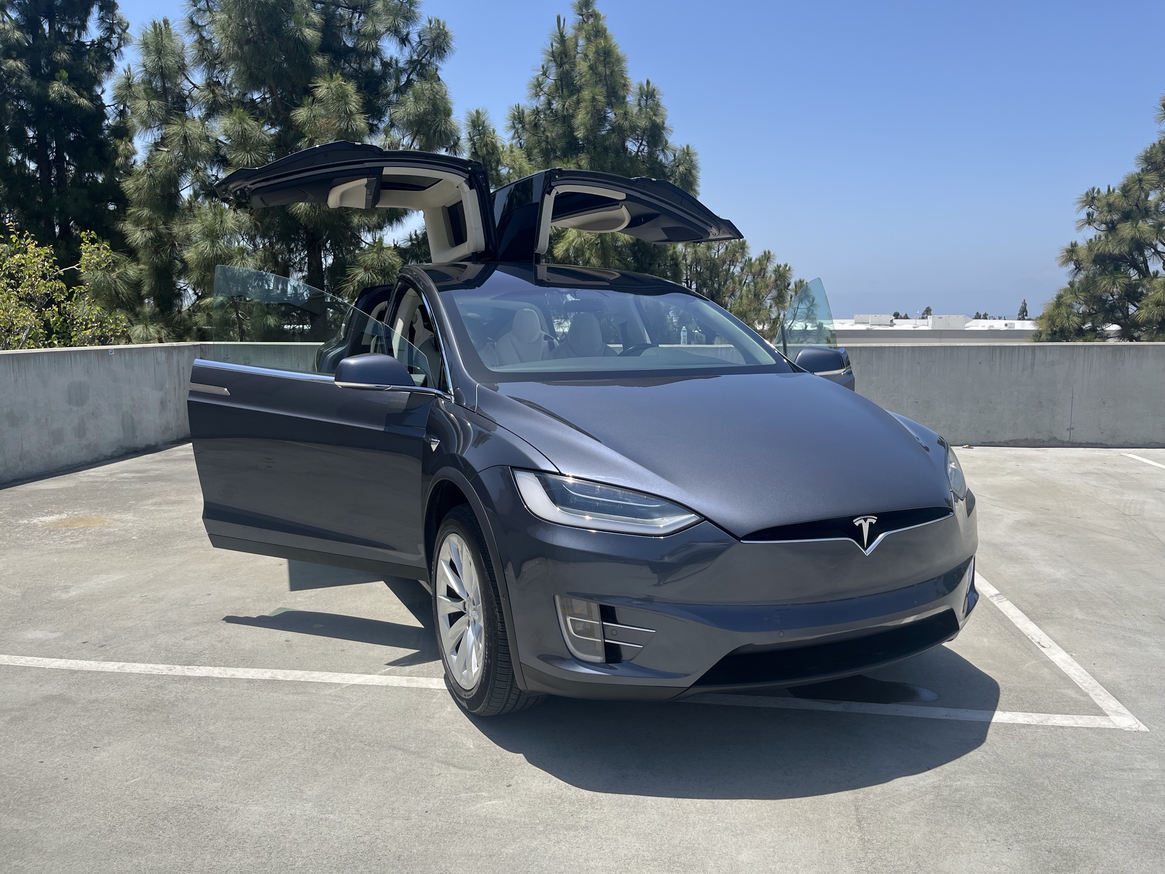 2018 MODEL X 100D